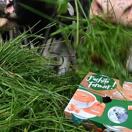 De Caractère, Animaux Admis - Jusqu'à 8 Pers. Séjour à la campagne *